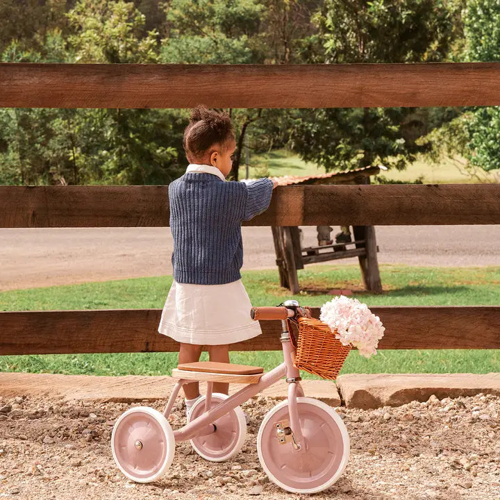 BANWOOD TRIKE VINTAGE - DUSTYPINK
